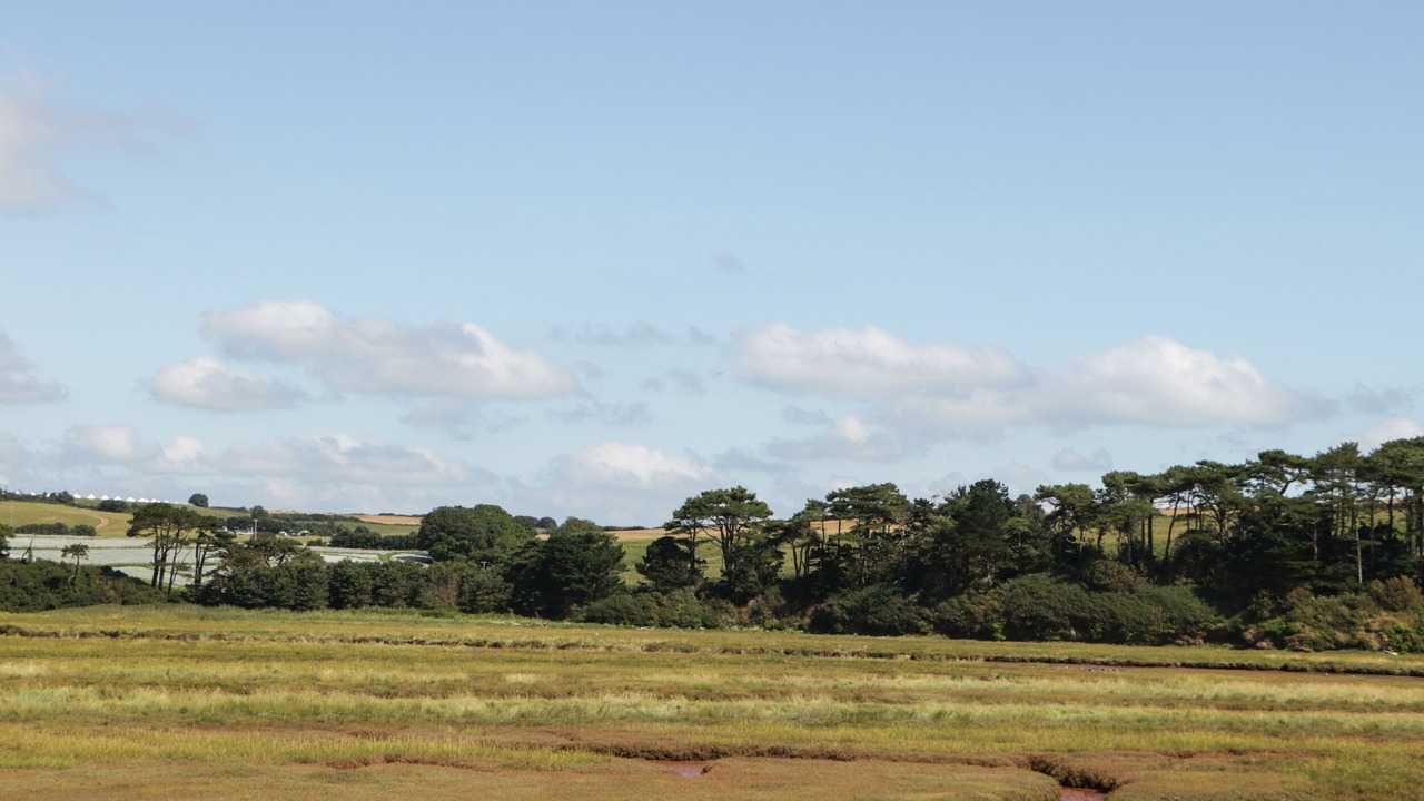 Photo of Others in Budleigh Salterton