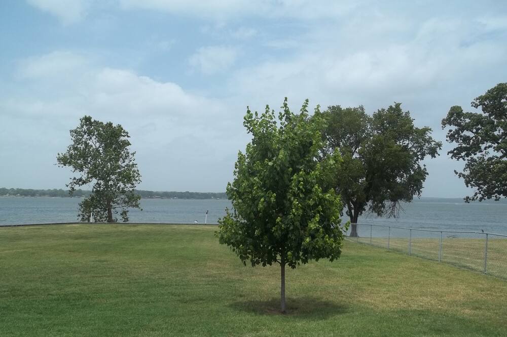 Photo of Outdoor in Grove