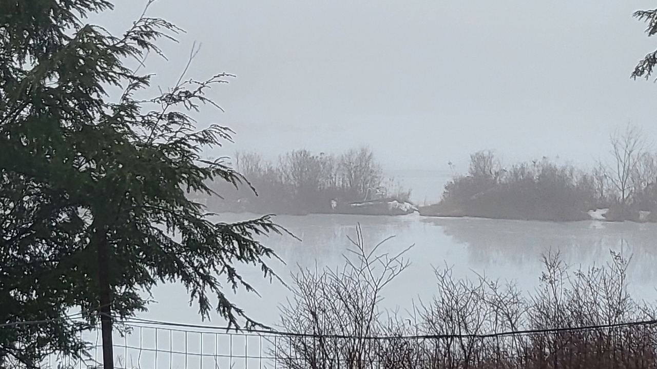 Photo of Others in Gouldsboro