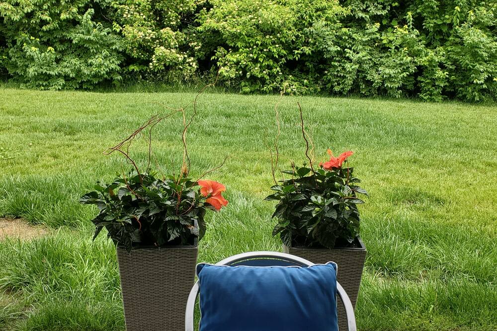 Photo of Outdoor in Acton