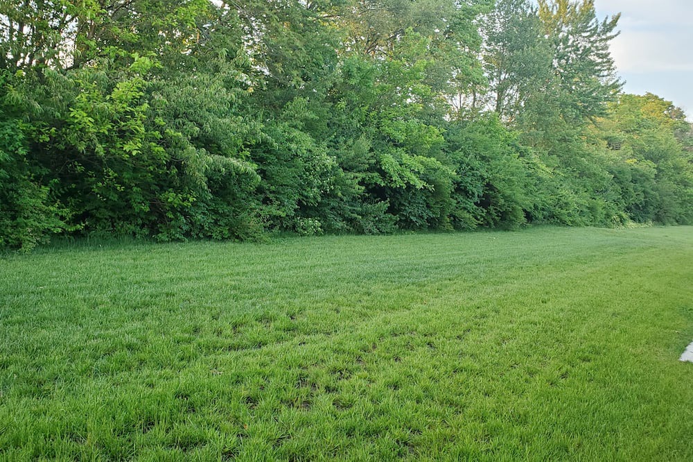 Photo of Outdoor in Acton