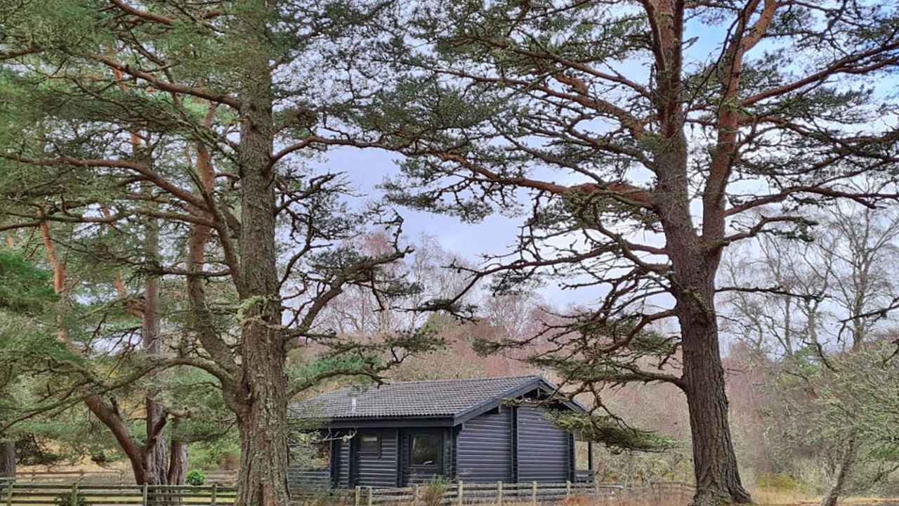 Photo of Outdoor in Brora