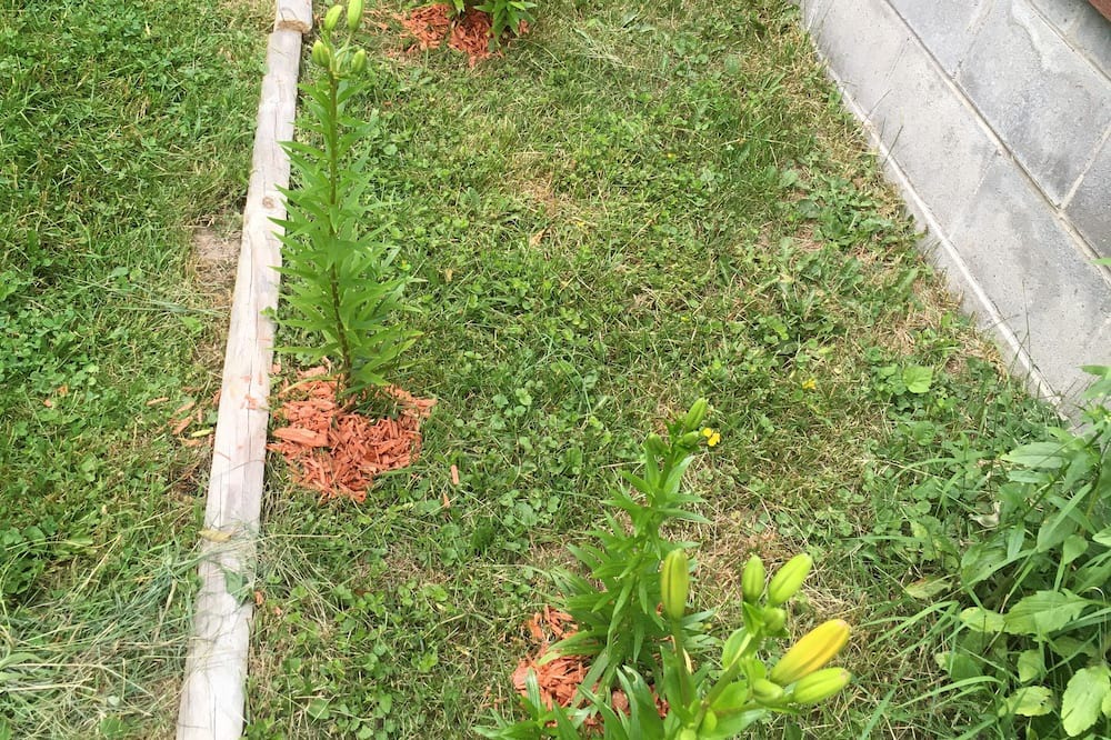 Photo of Outdoor in Warren