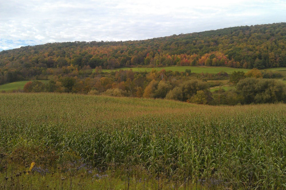 Photo of Outdoor in Warren