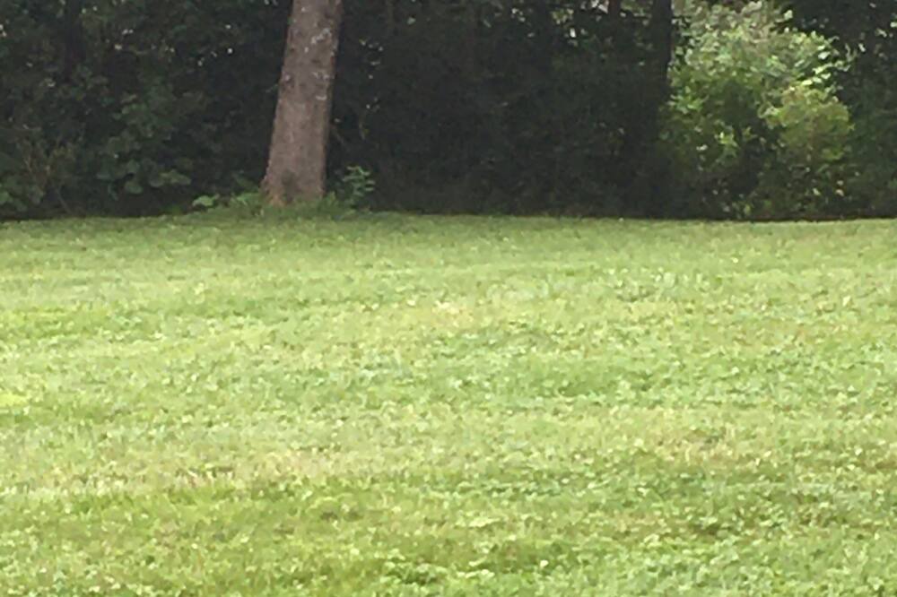 Photo of Outdoor in Warren