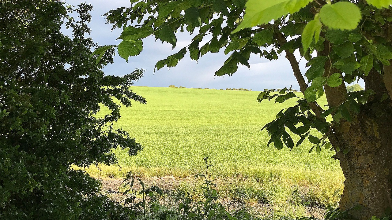 Photo of Others in Cayton Bay