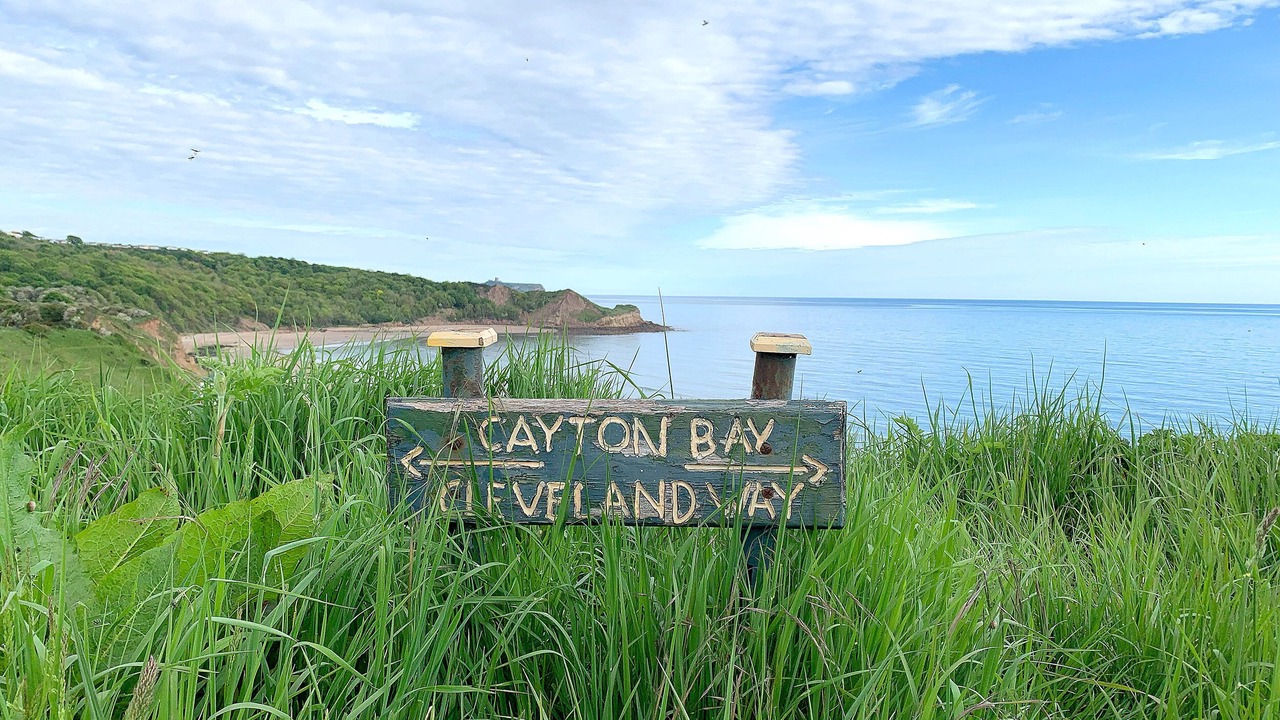 Photo of Others in Cayton Bay