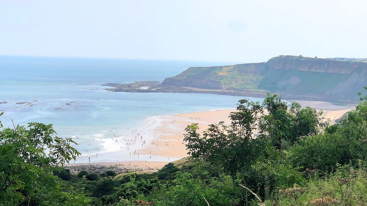 Photo of Others in Cayton Bay