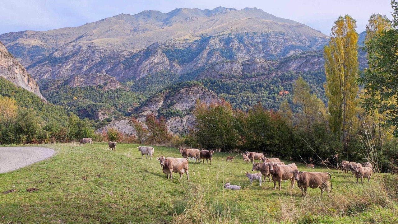 Photo of Outdoor in Biescas