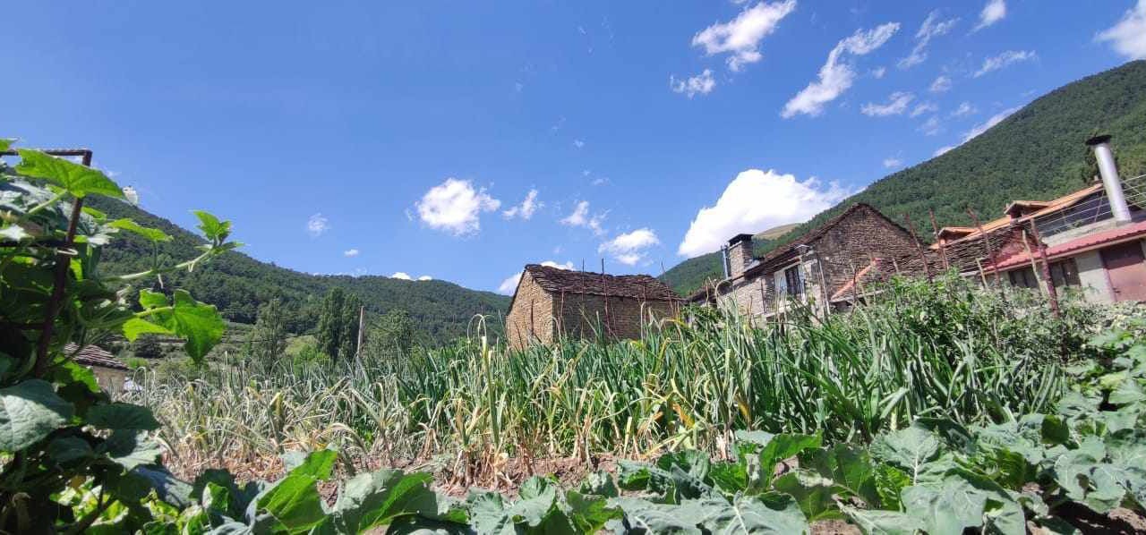 Photo of Outdoor in Biescas