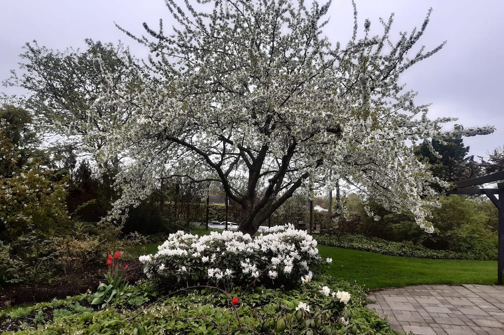 Photo of Outdoor in Bronde