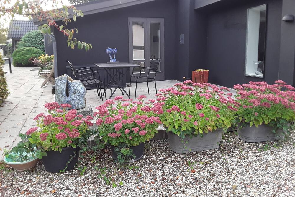 Photo of Outdoor in Bronde
