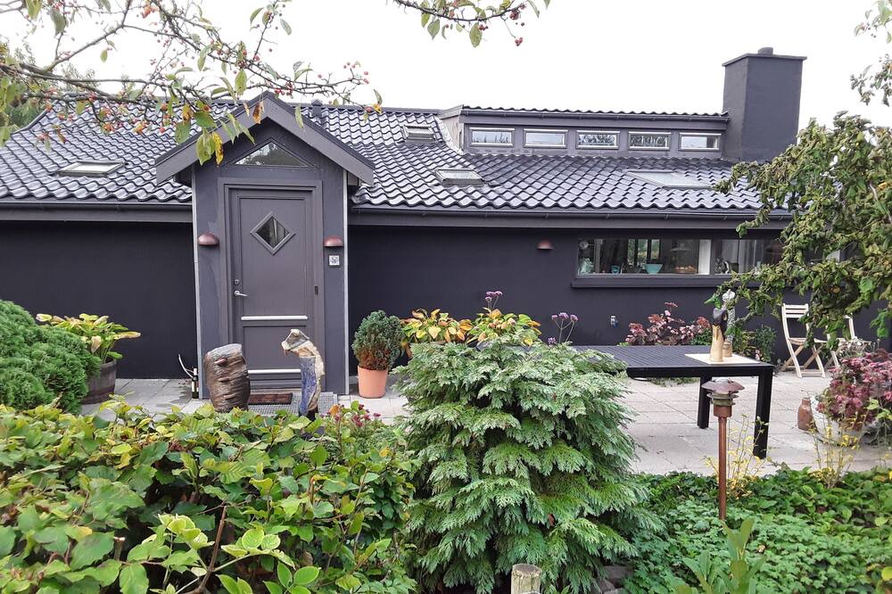 Photo of Outdoor in Bronde