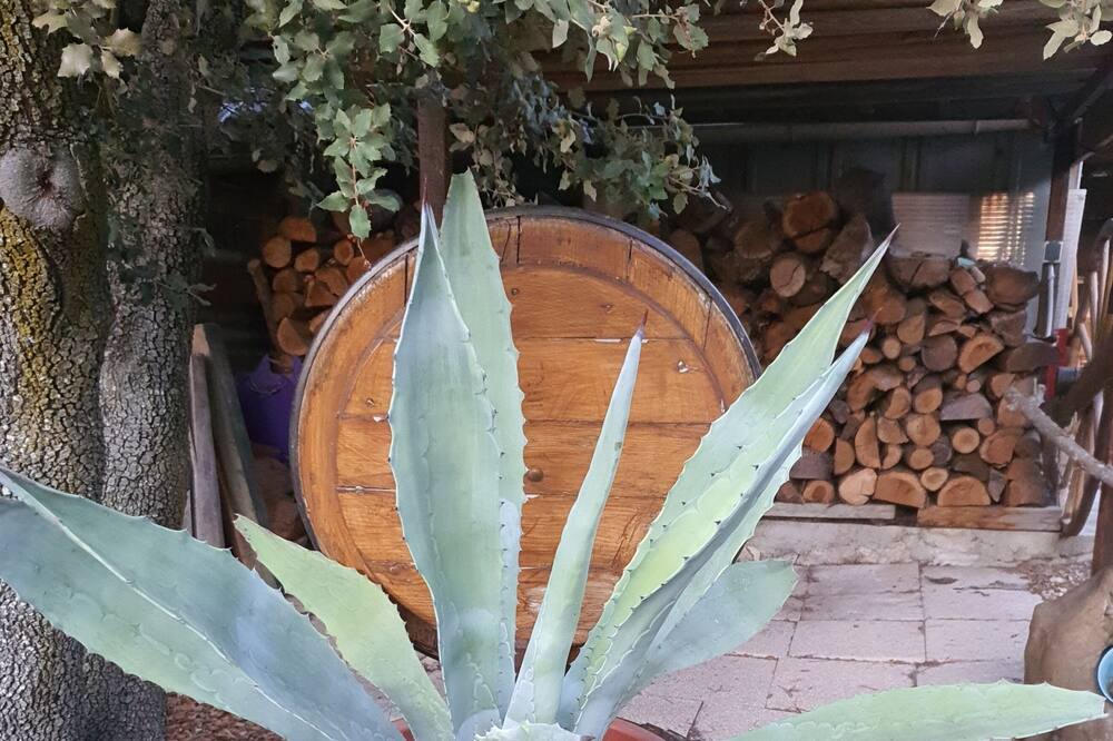 Photo of Outdoor in Aubais