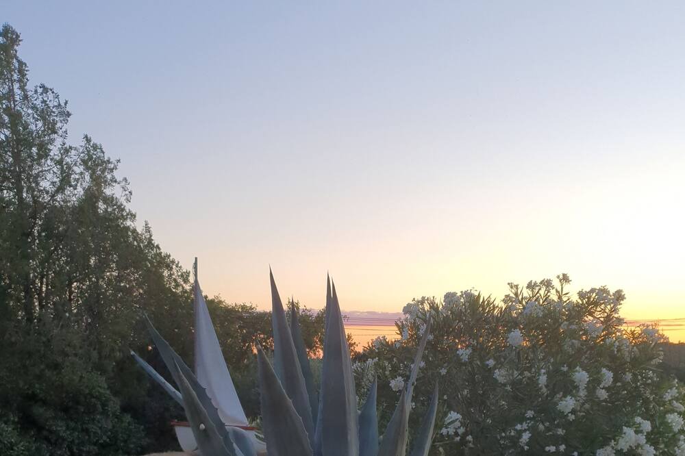 Photo of Outdoor in Aubais