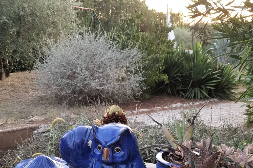 Photo of Others in Aubais