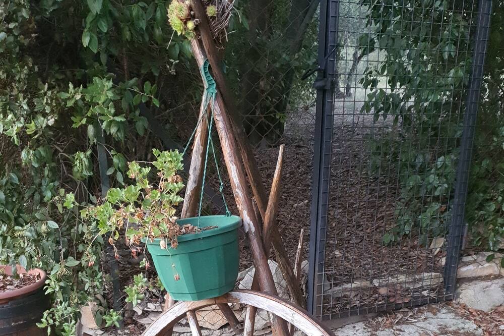 Photo of Outdoor in Aubais