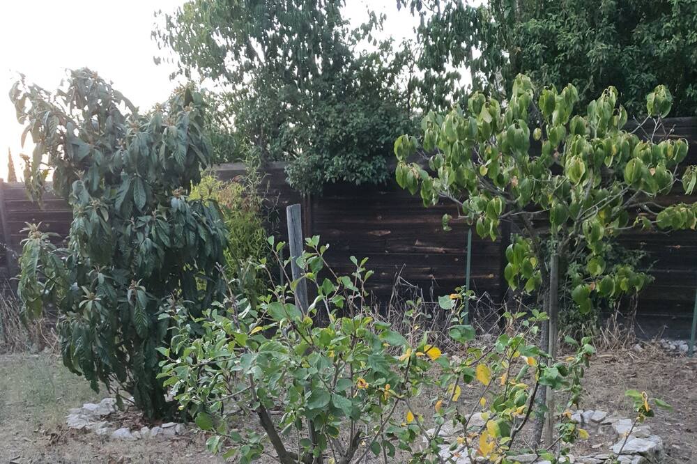 Photo of Outdoor in Aubais