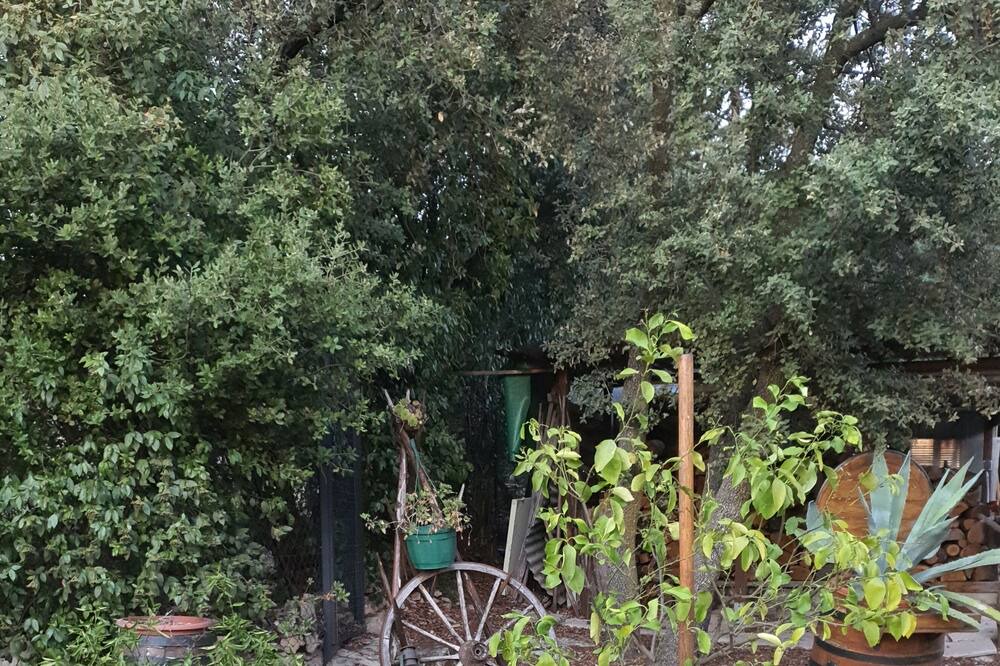 Photo of Outdoor in Aubais