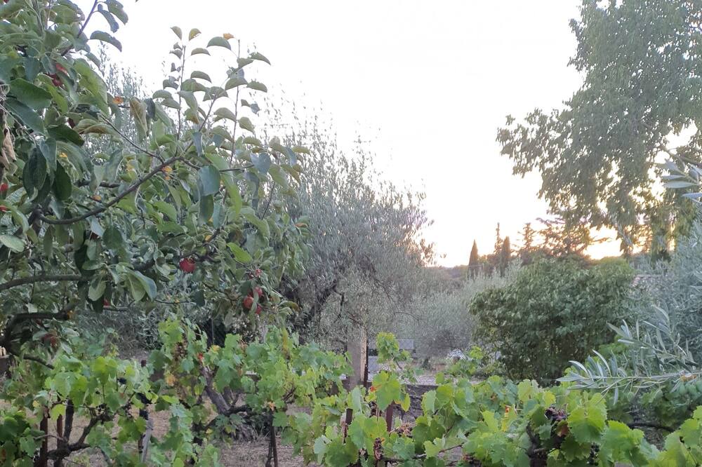 Photo of Outdoor in Aubais