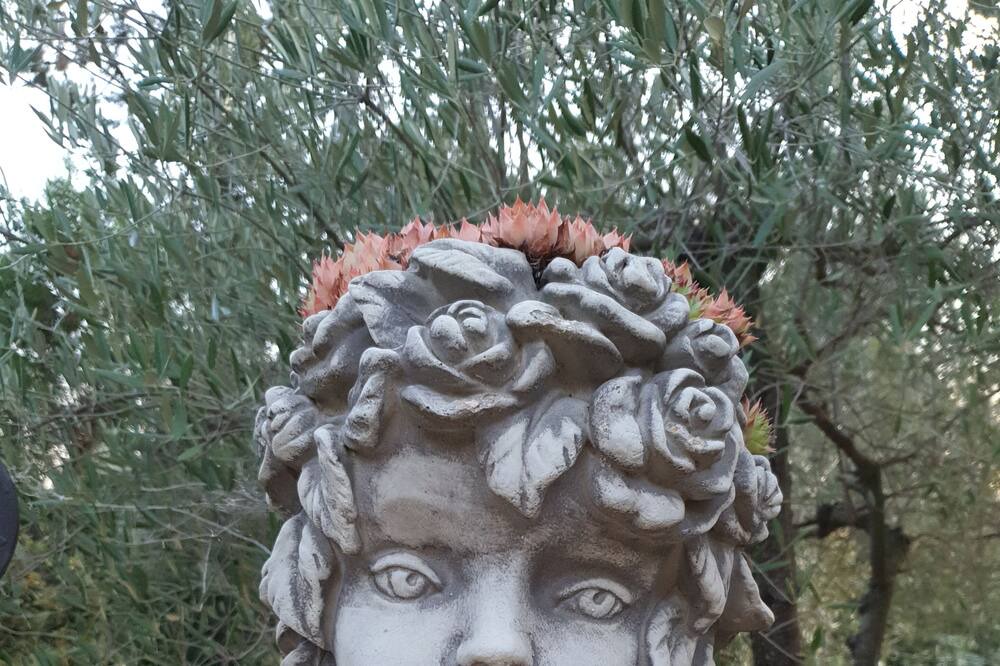 Photo of Outdoor in Aubais