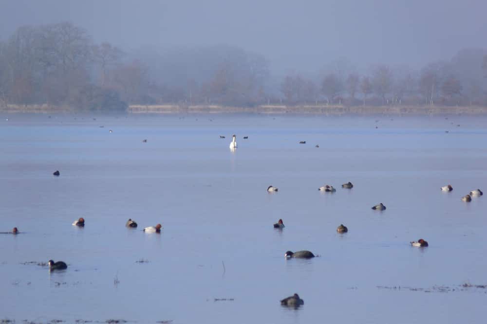 Photo of Others in Boussac-Bourg