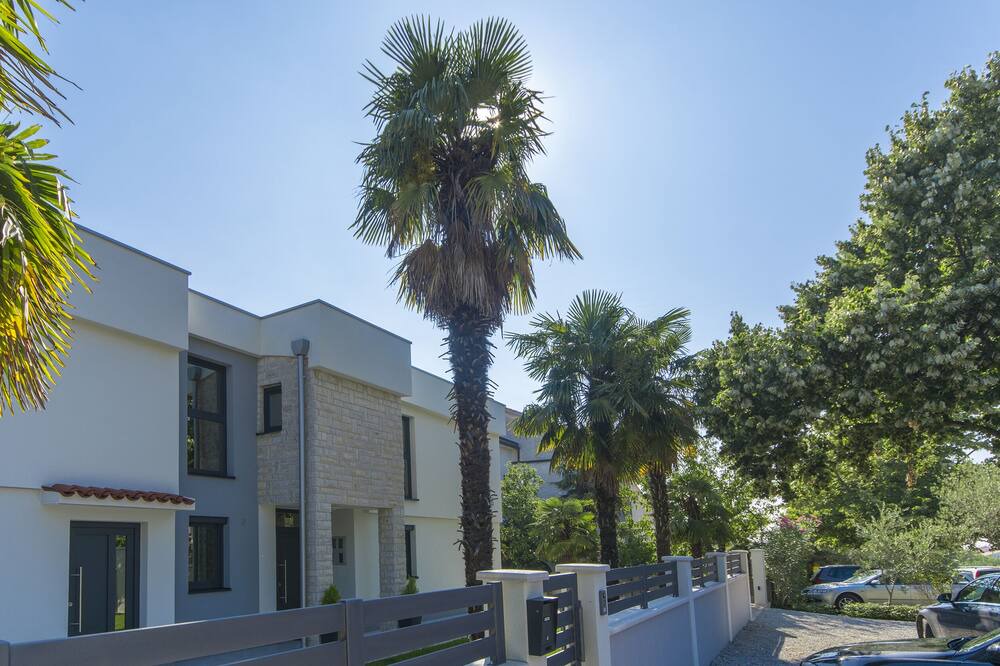 Photo of Outdoor in Spadici