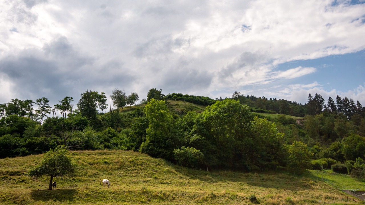 Photo of Others in Moosch