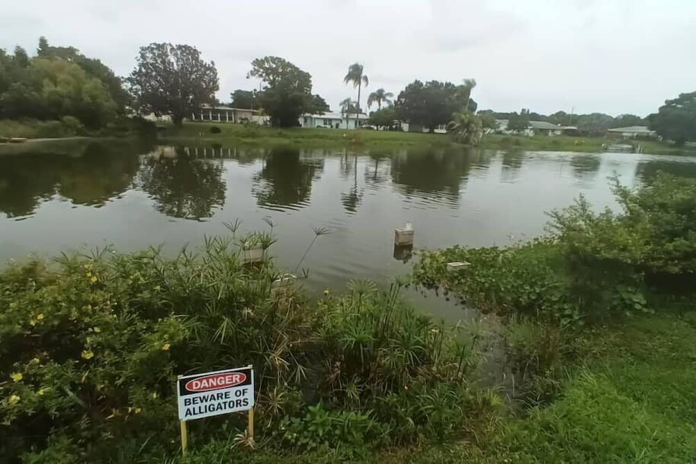 Photo of Outdoor in Venice Gardens