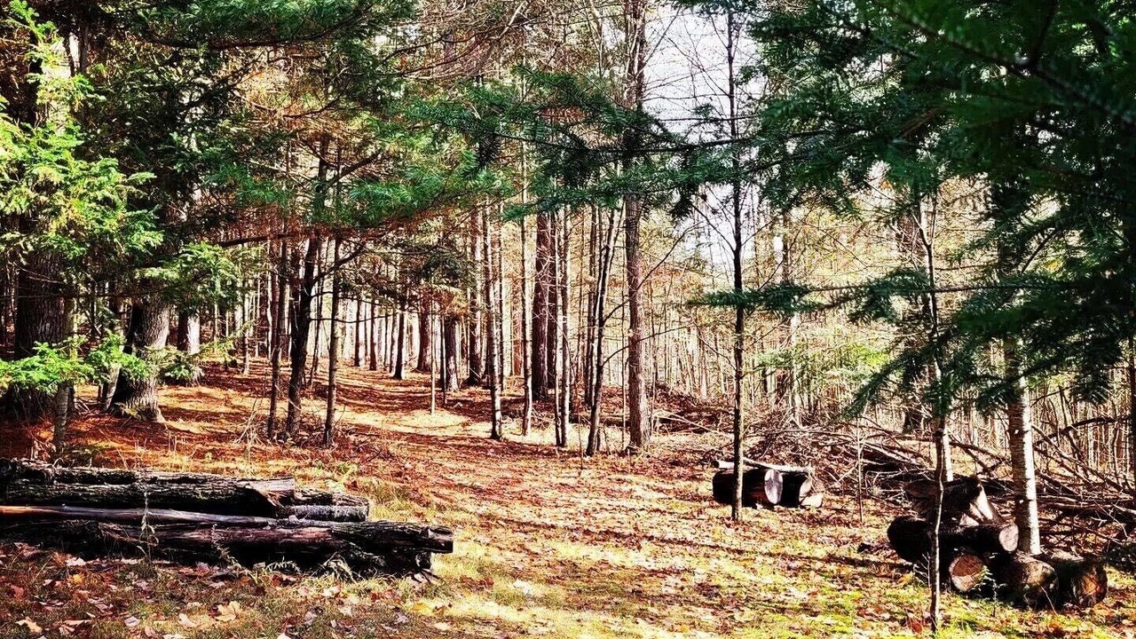 Photo of Outdoor in Wollaston