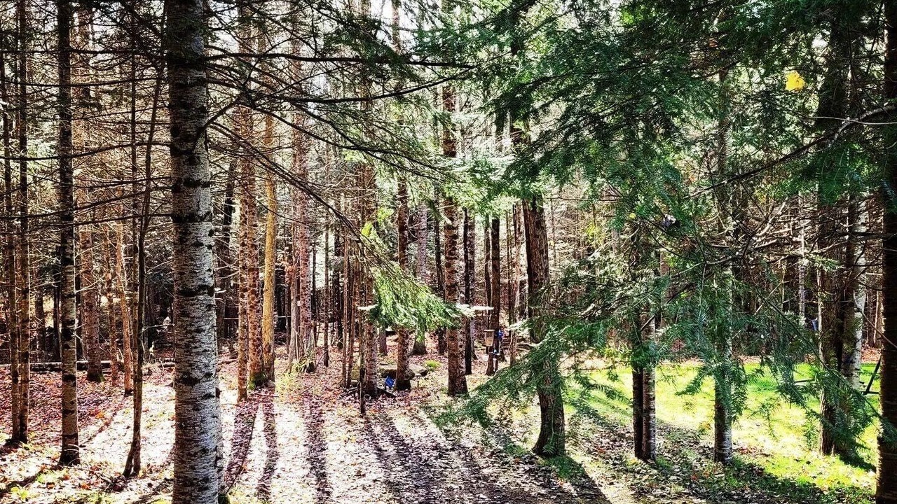 Photo of Outdoor in Wollaston