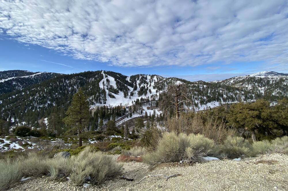 Photo of Others in Wrightwood