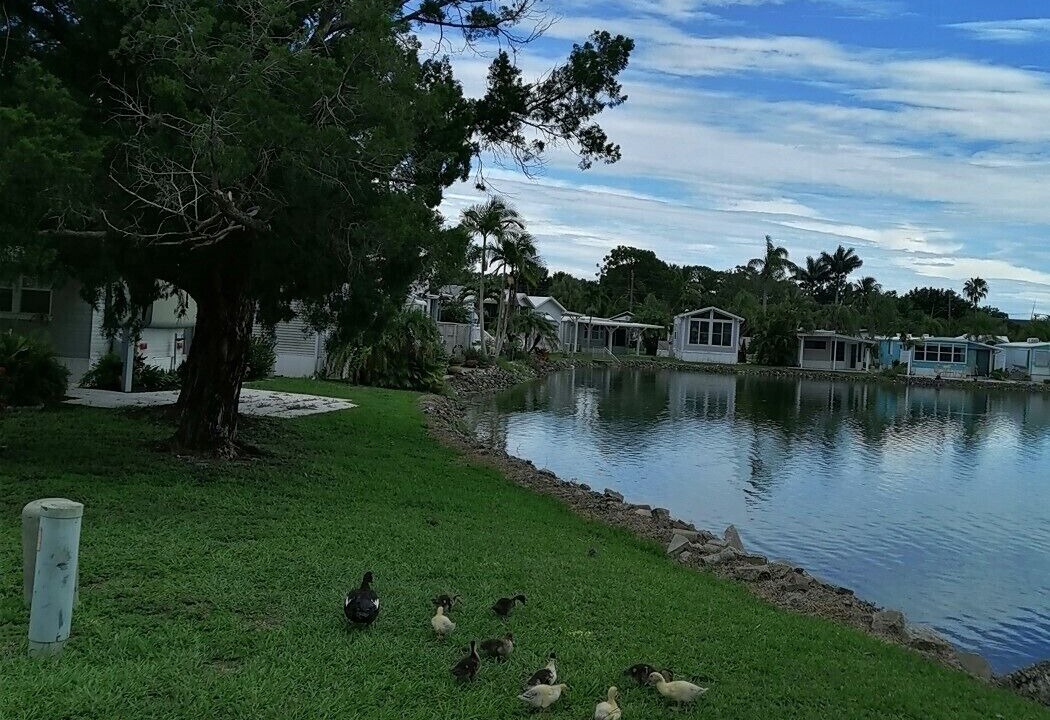 Photo of Outdoor in North Naples