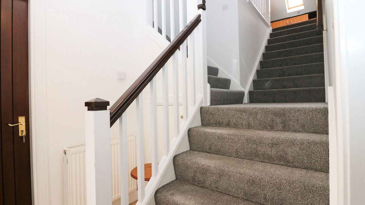 Photo of Others in Old Deer