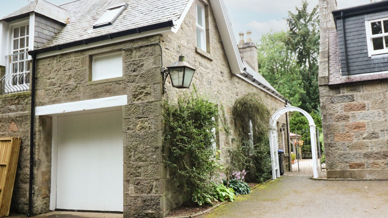 Photo of Others in Old Deer