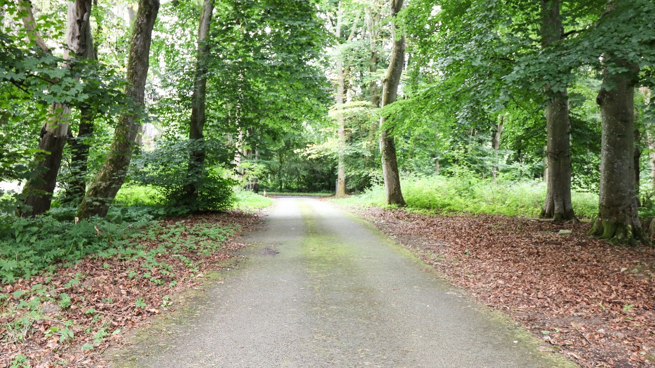 Photo of Others in Old Deer