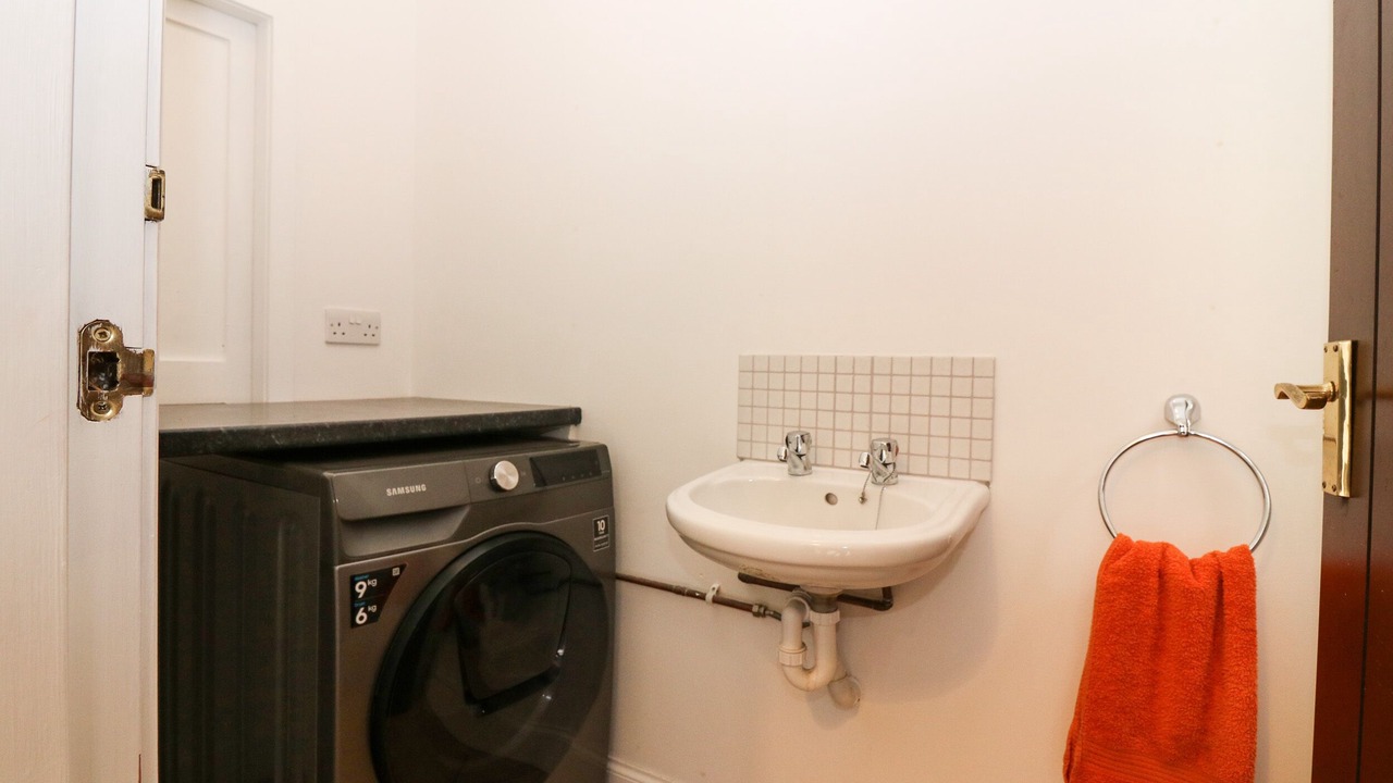 Photo of Others in Old Deer