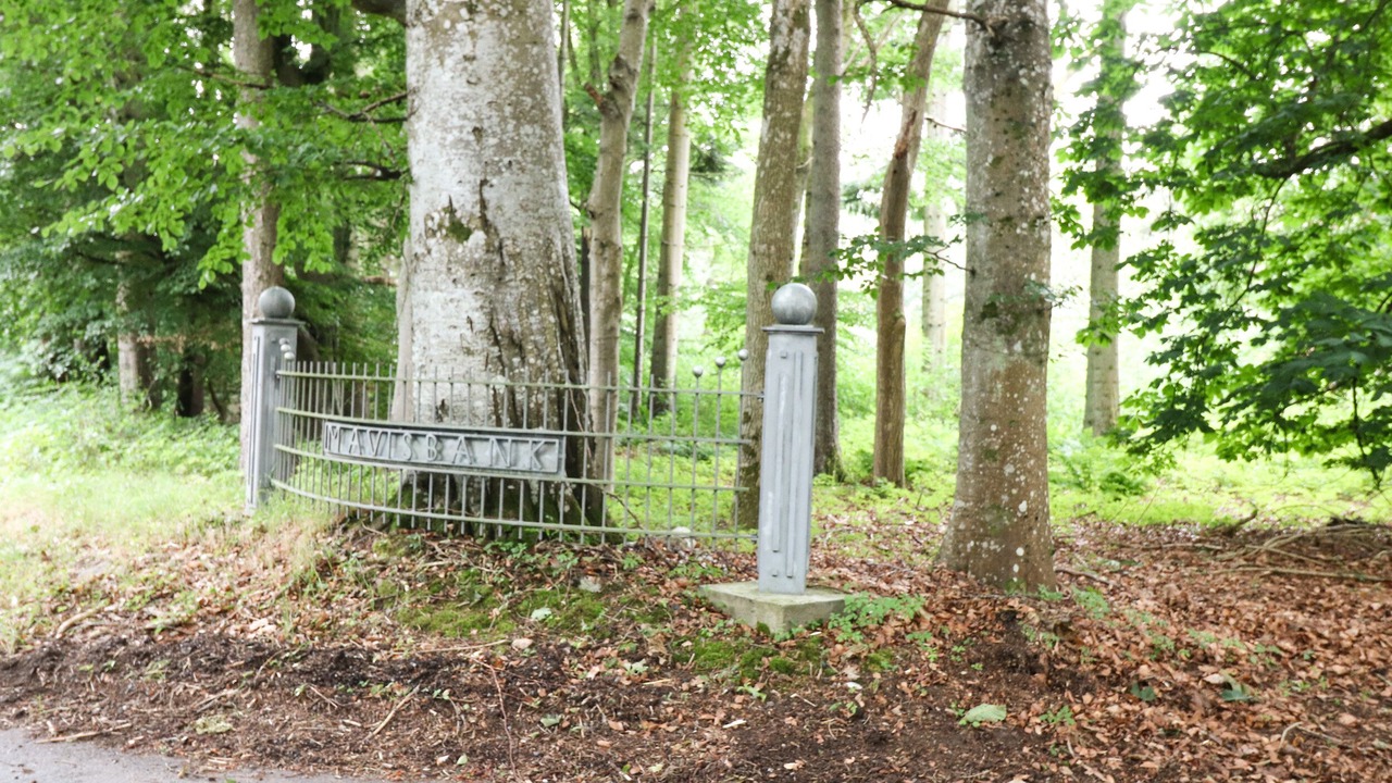 Photo of Others in Old Deer