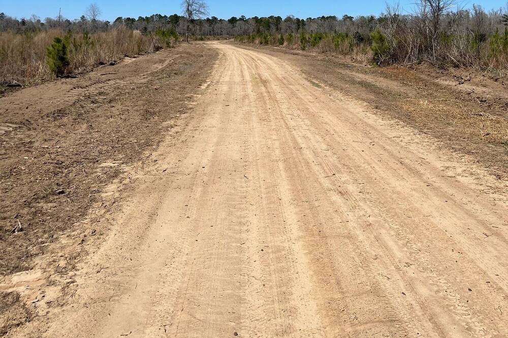 Photo of Others in Centralia