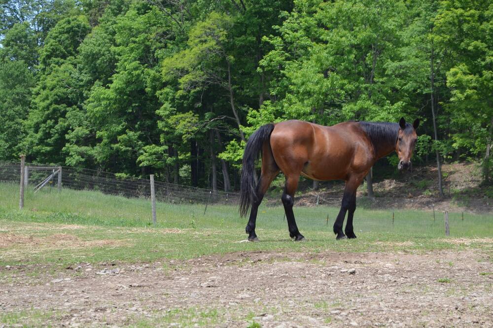 Photo of Outdoor in Caroline