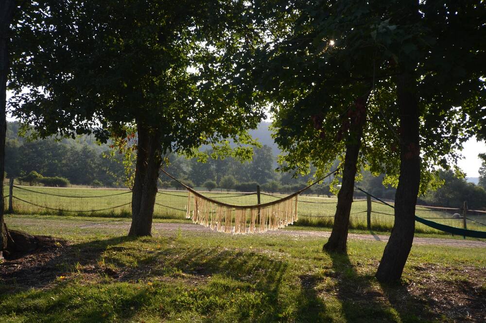 Photo of Outdoor in Caroline