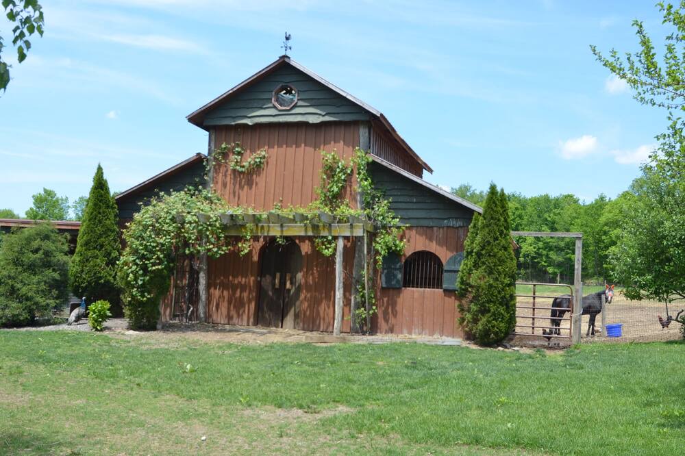 Photo of Outdoor in Caroline