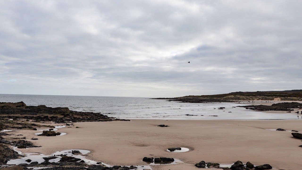 Photo of Others in Hopeman