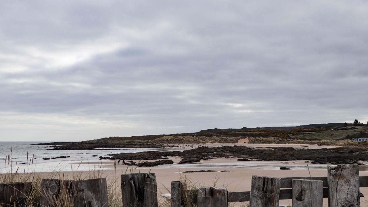 Photo of Others in Hopeman