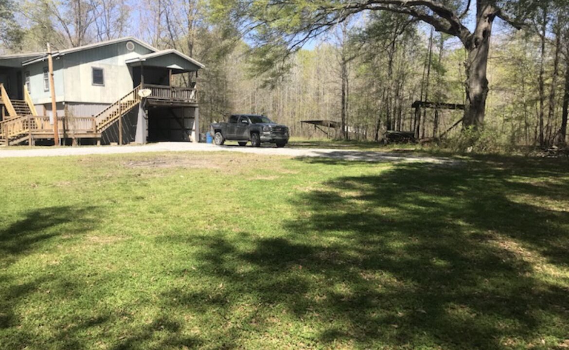 Photo of Outdoor in Holly Grove