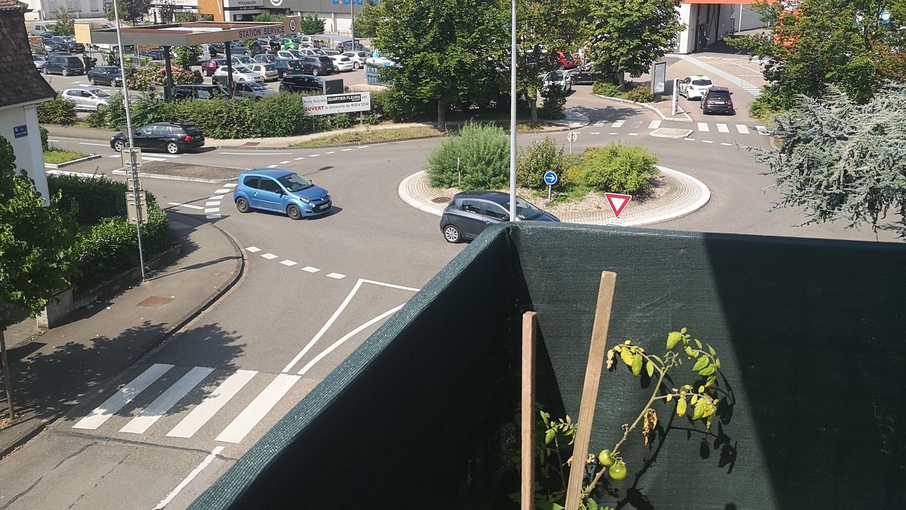 Photo of Others in Selestat