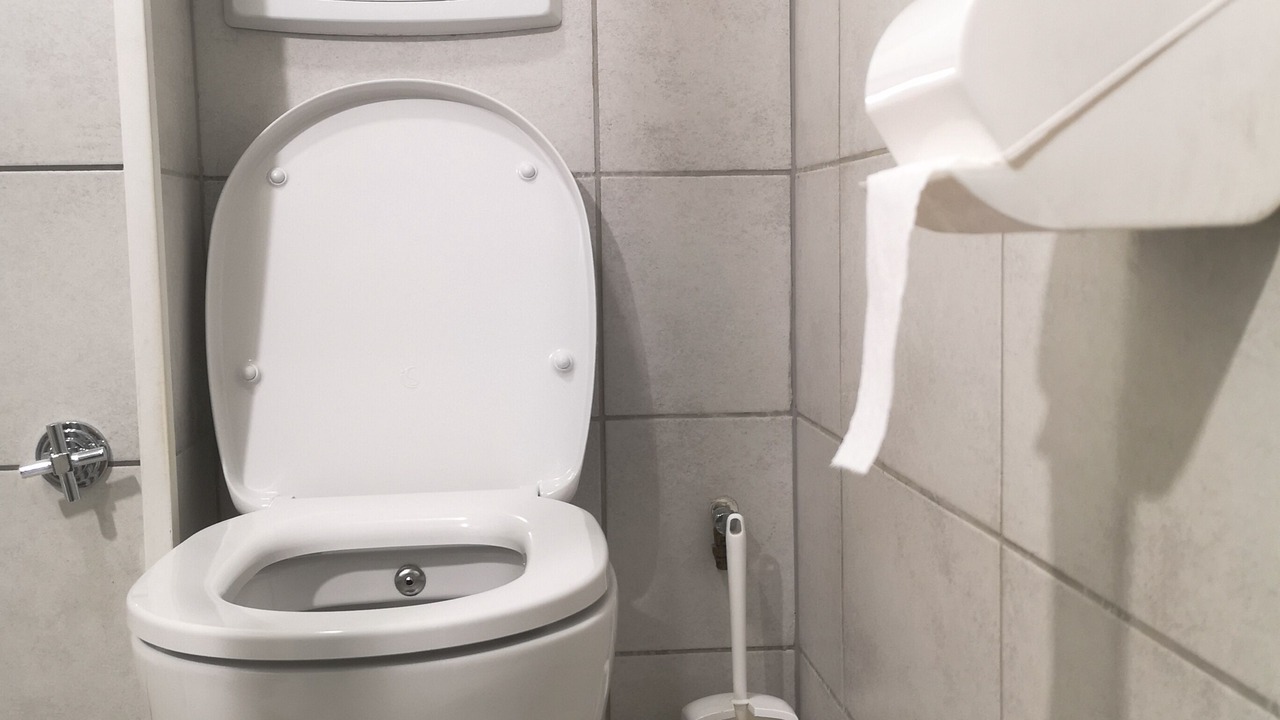 Photo of Others in Selestat