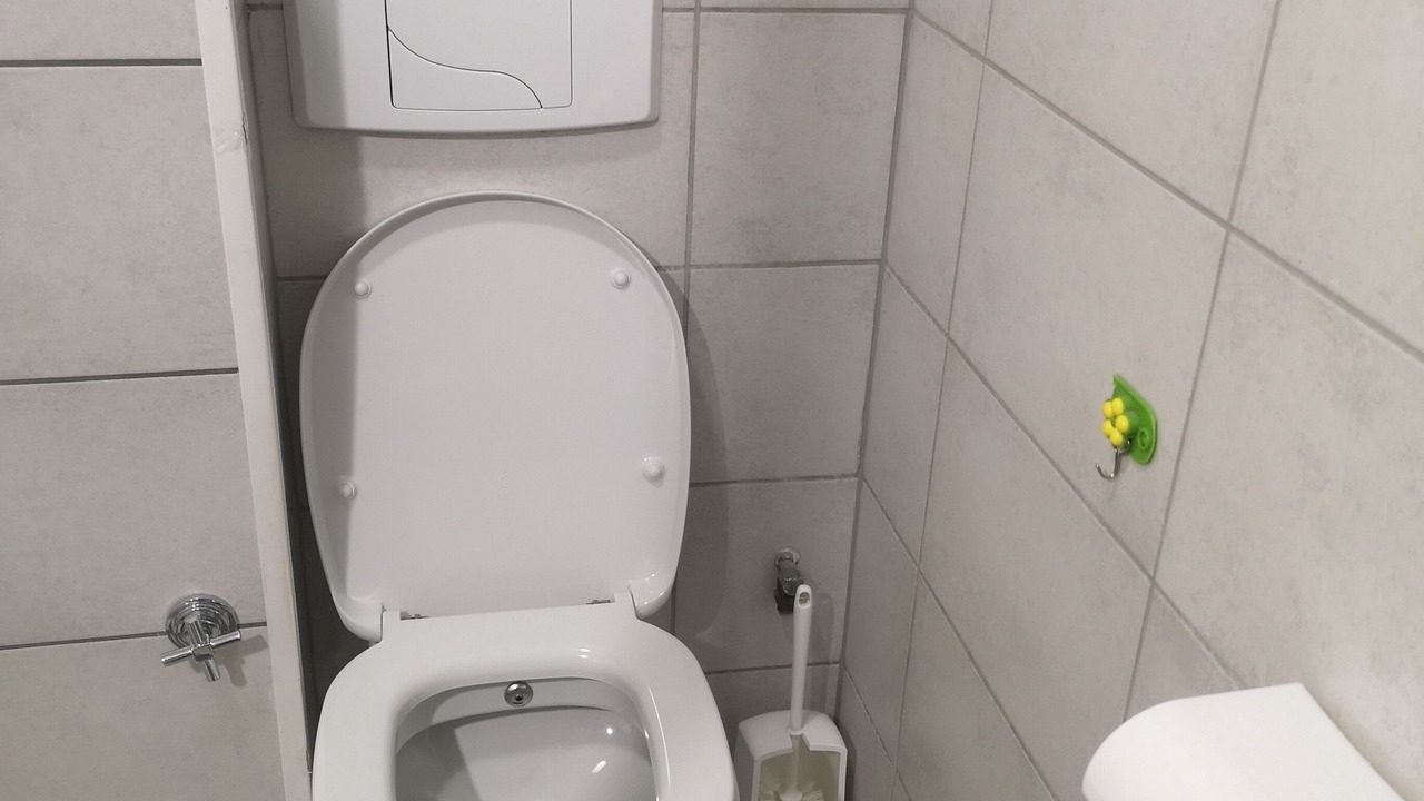 Photo of Others in Selestat