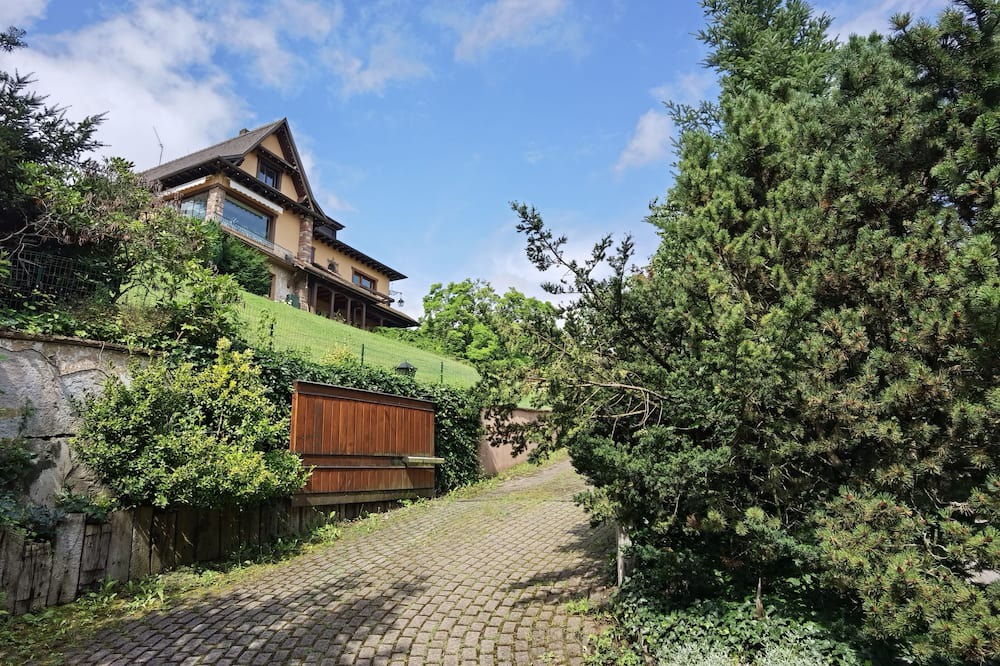 Photo of Outdoor in Andlau