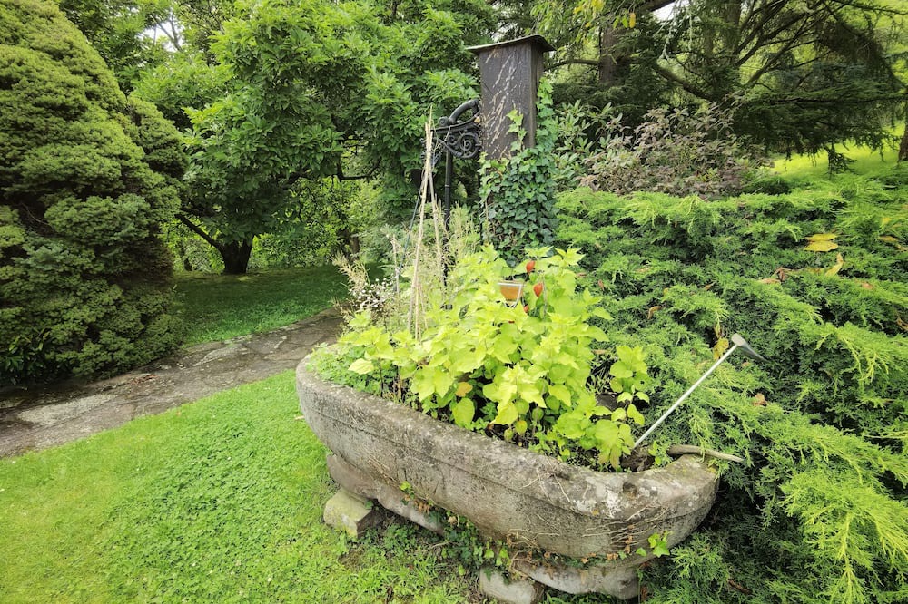 Photo of Outdoor in Andlau